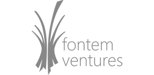 logoslide-fontem